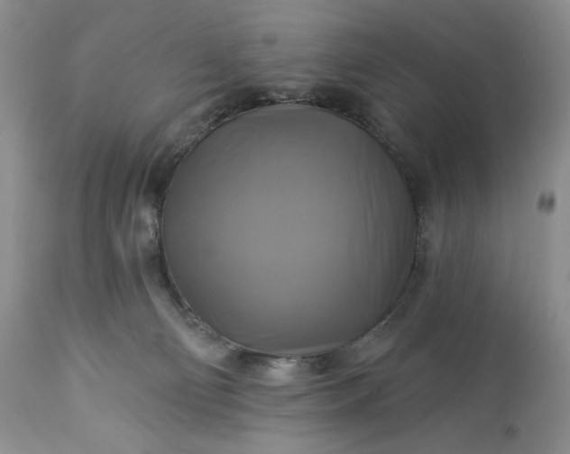 X0000113340130200909291039