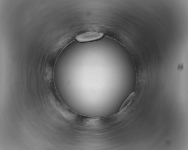 X0000113340132200909291039