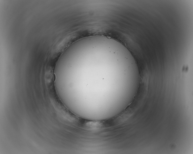 X0000113340133200909291039