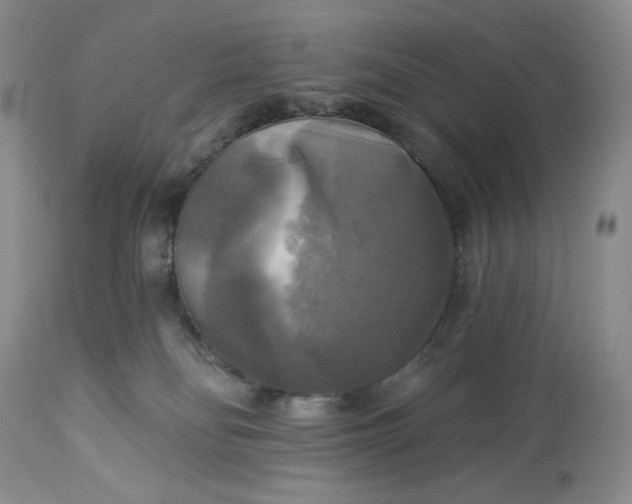 X0000113340134200909291039