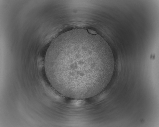 X0000113340135200909291039