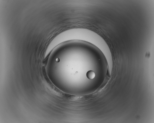 X0000113340136200909291039