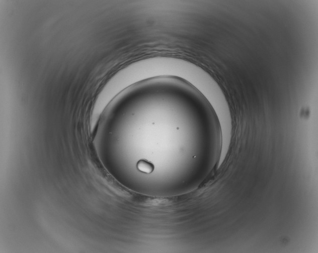 X0000113340137200909291039