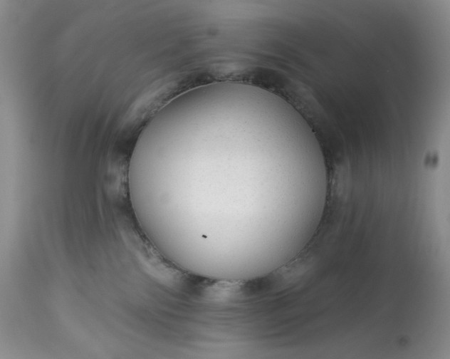 X0000113340138200909291039