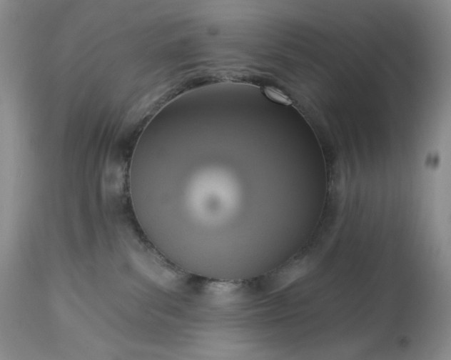 X0000113340139200909291039