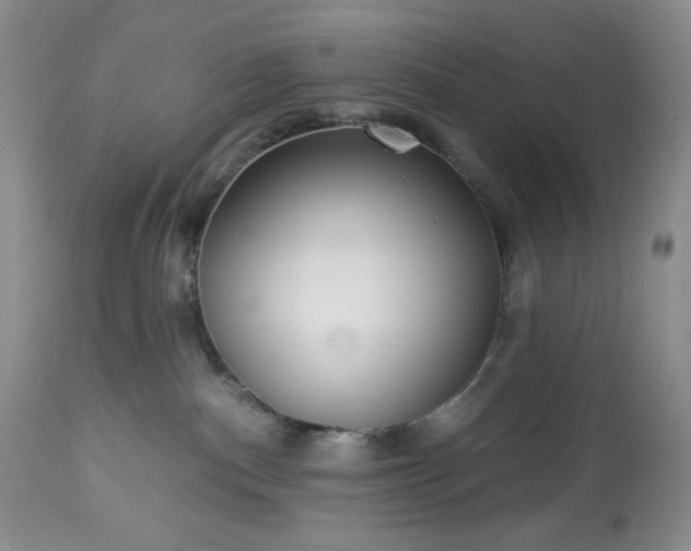 X0000113340140200909291039