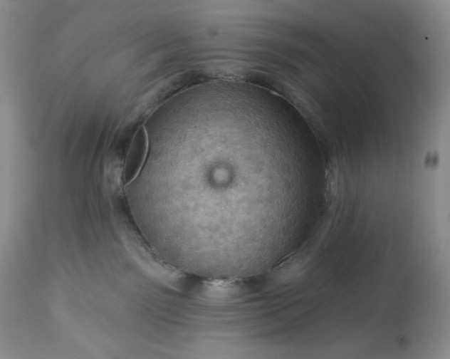 X0000113340141200909291039