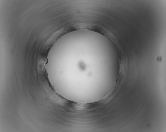 X0000113340142200909291039