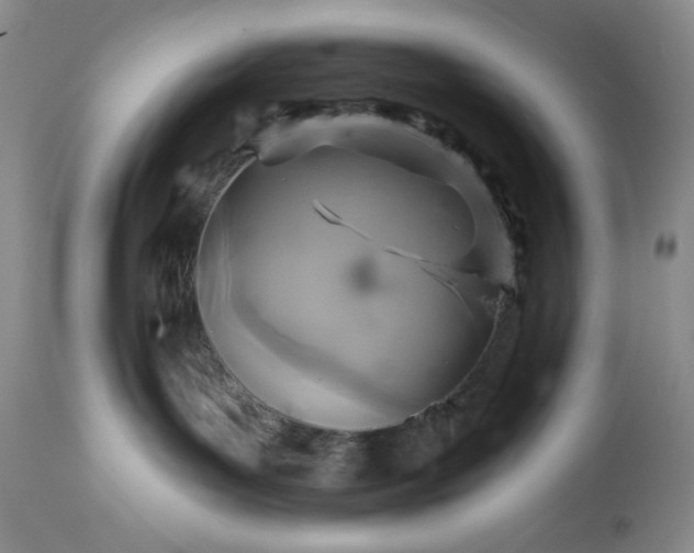 X0000113340143200909291039