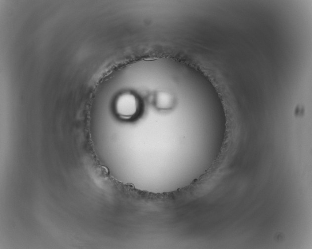 X0000113340144200909291039