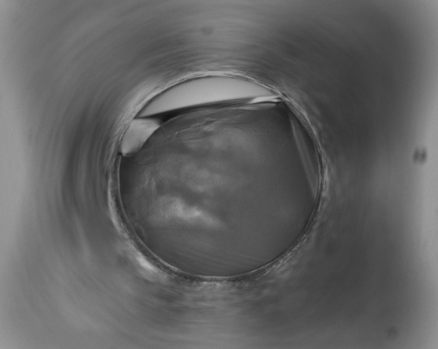 X0000113340145200909291038