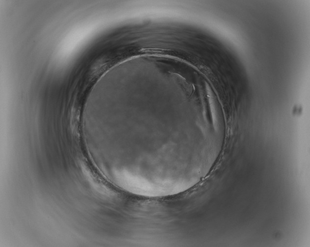 X0000113340146200909291038