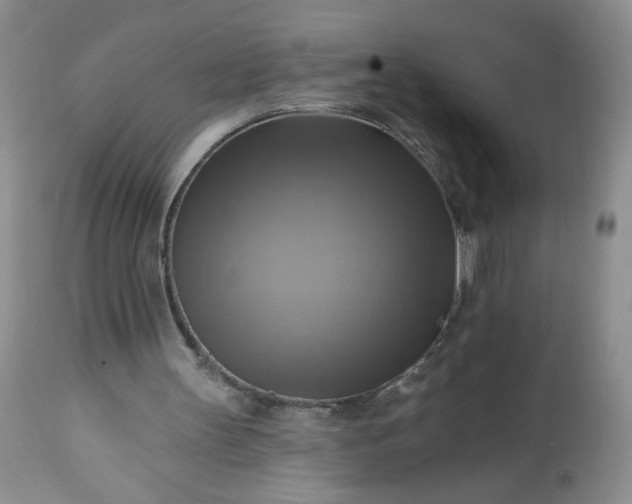 X0000113340147200909291038