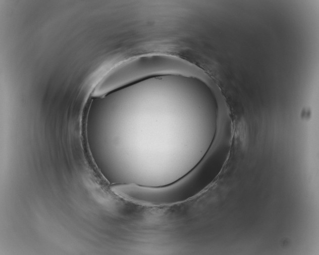 X0000113340148200909291038