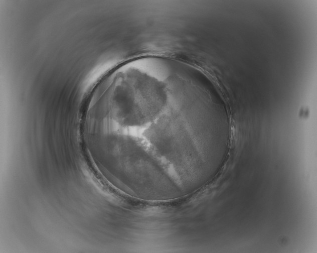 X0000113340149200909291038