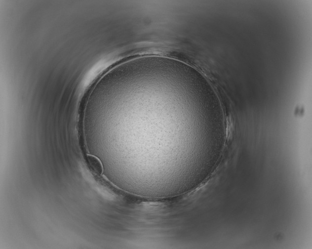 X0000113340150200909291038