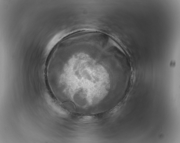 X0000113340151200909291038