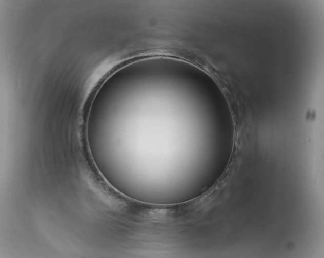 X0000113340152200909291038