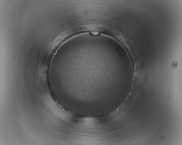 X0000113340154200909291038