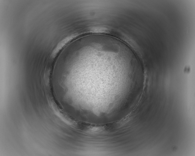 X0000113340155200909291038