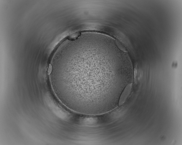 X0000113340156200909291038