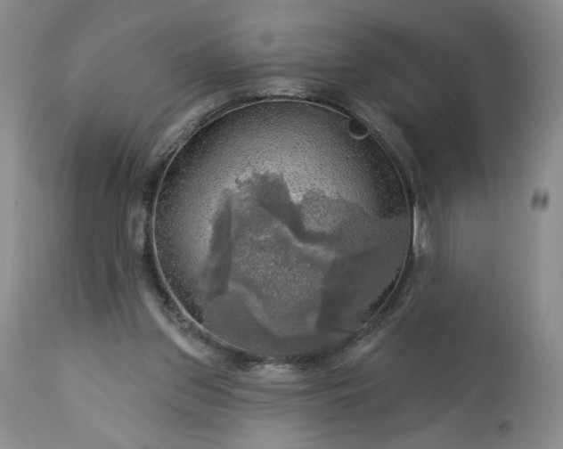 X0000113340157200909291038