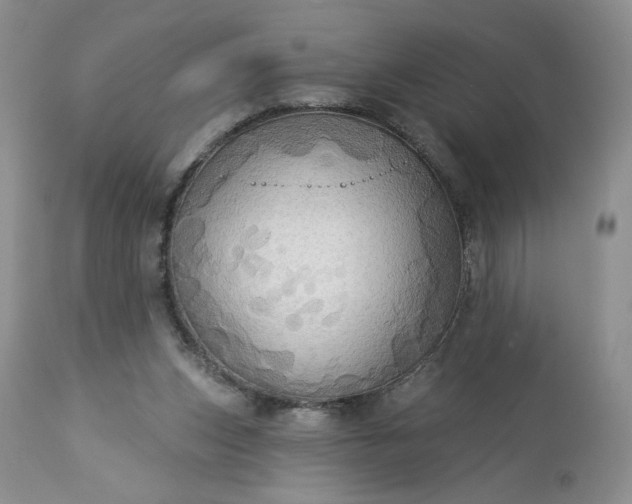 X0000113340159200909291038