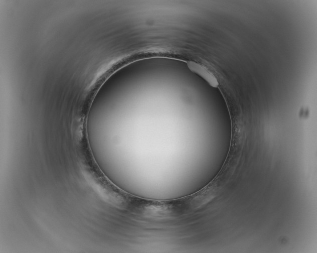 X0000113340160200909291038