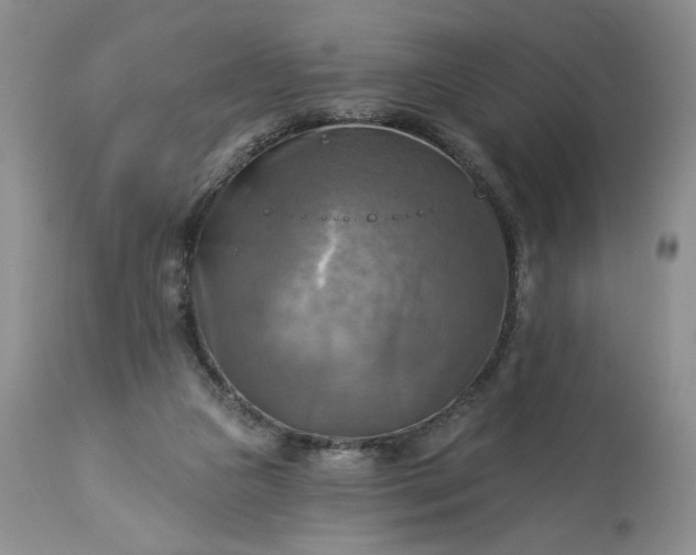 X0000113340161200909291038