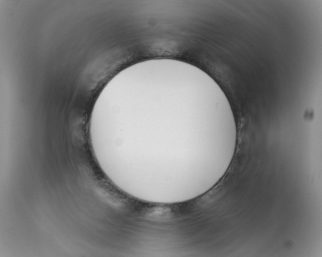 X0000113340162200909291038