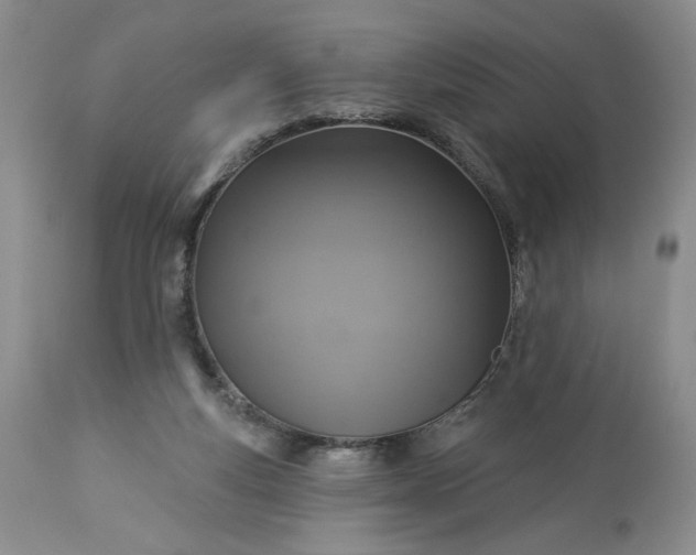 X0000113340163200909291038