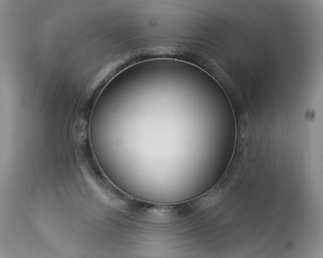 X0000113340164200909291038