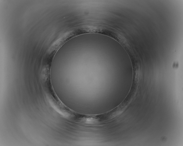 X0000113340165200909291038