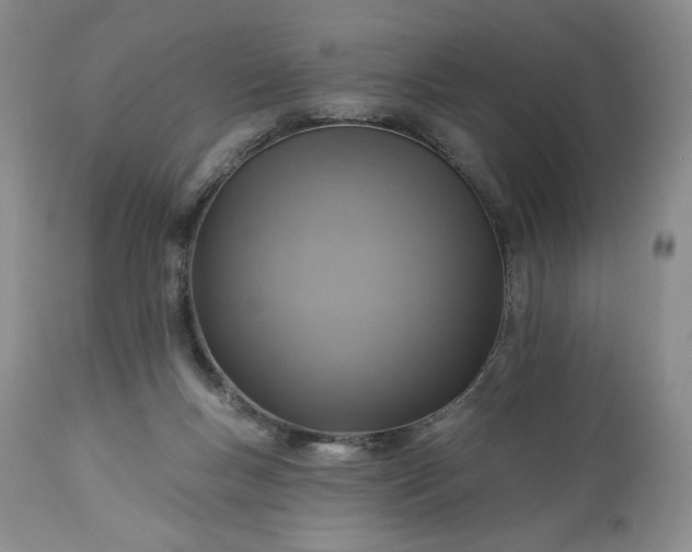 X0000113340167200909291038