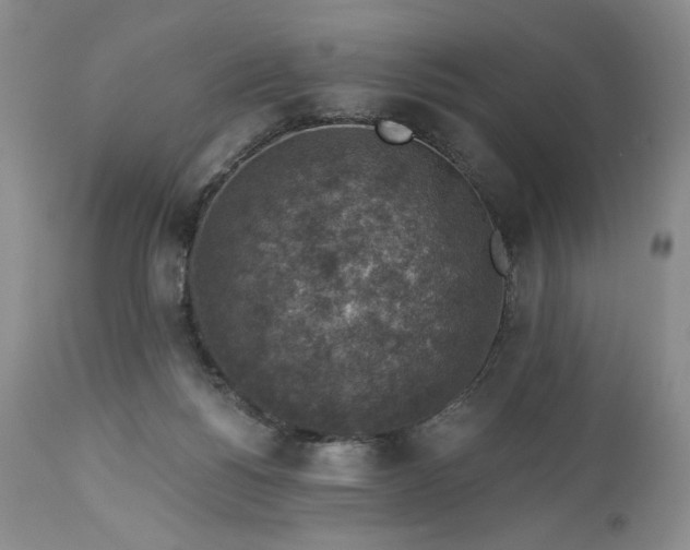 X0000113340168200909291038