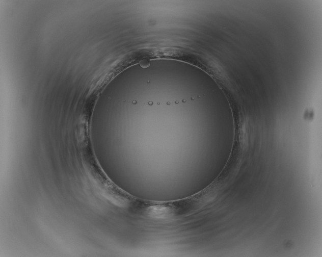 X0000113340169200909291038