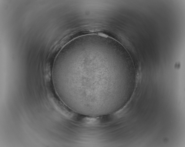 X0000113340170200909291038