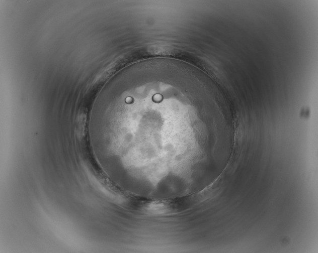 X0000113340171200909291038