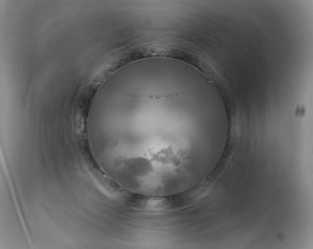 X0000113340173200909291038