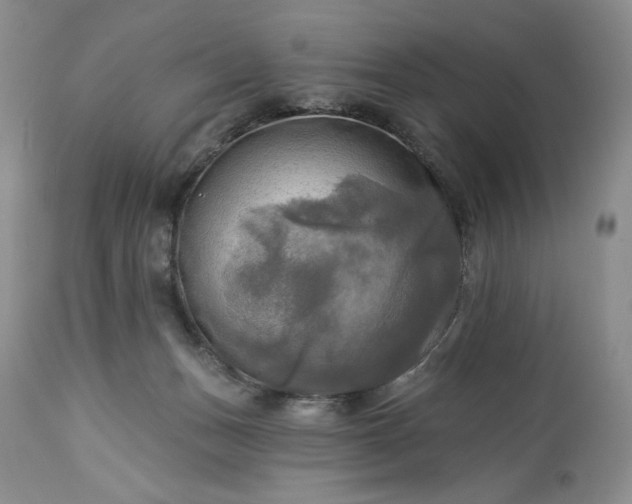 X0000113340175200909291038