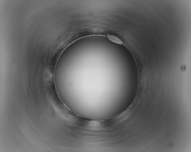 X0000113340176200909291038