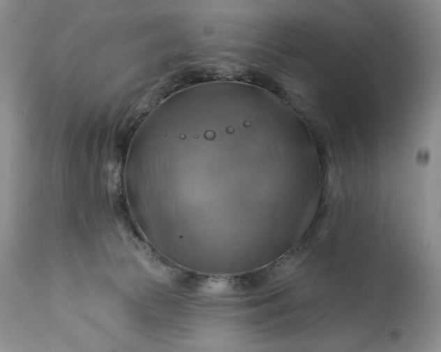 X0000113340177200909291038