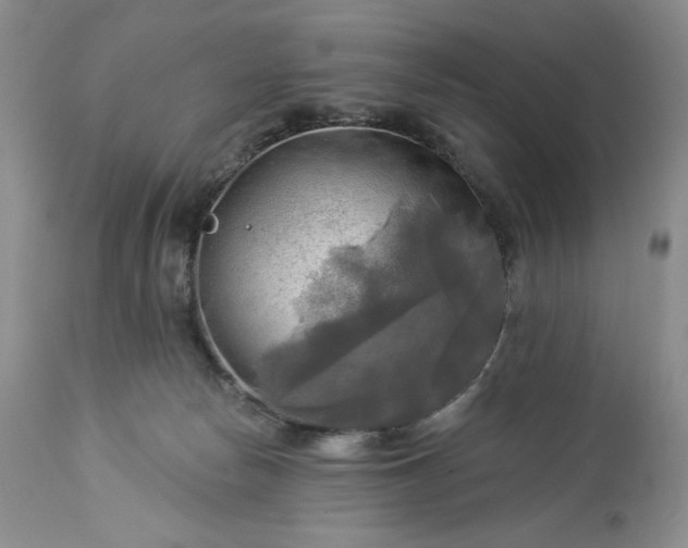 X0000113340178200909291038