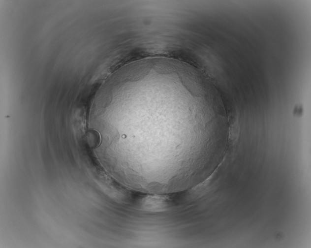 X0000113340179200909291038