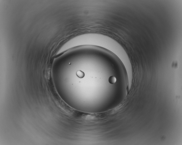 X0000113340180200909291038