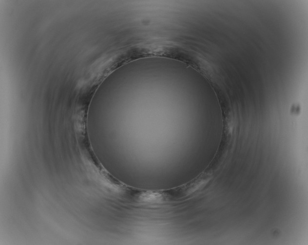 X0000113340181200909291039