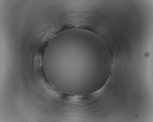 X0000113340182200909291039