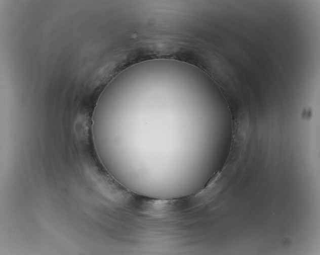 X0000113340184200909291039