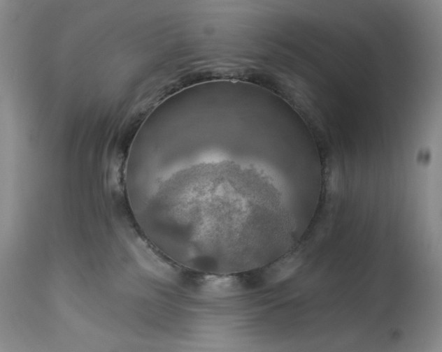 X0000113340185200909291039