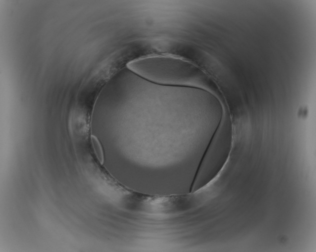 X0000113340186200909291039